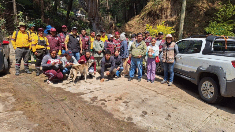 Alcaldía Álvaro Obregón realiza jornada de limpieza en barranca de San Bartolo Ameyalco