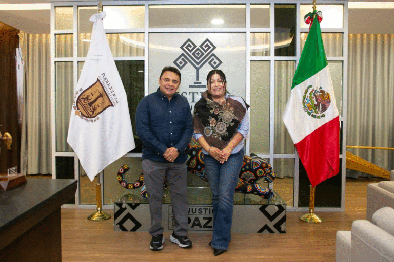 Juan Carlos Moreno Guillén sostiene encuentro institucional con diputada Selene Sánchez Cruz