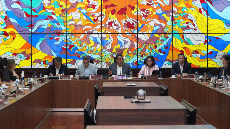 INM y Consejo Ciudadano fortalecen diálogo para consolidar una política migratoria humanista