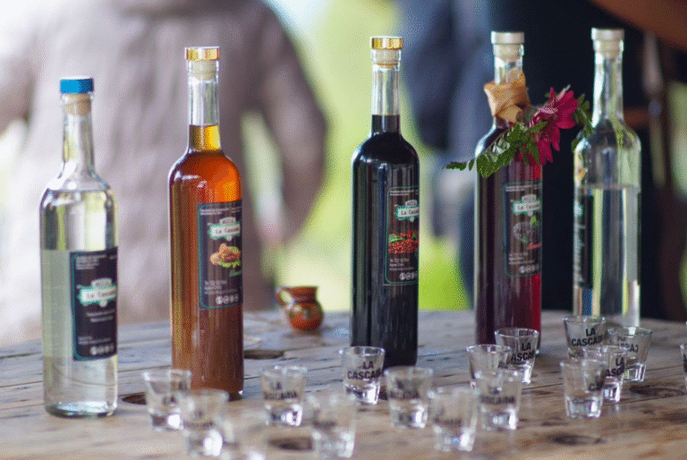 Estado de México impulsa el turismo con las nuevas rutas del mezcal y la flor