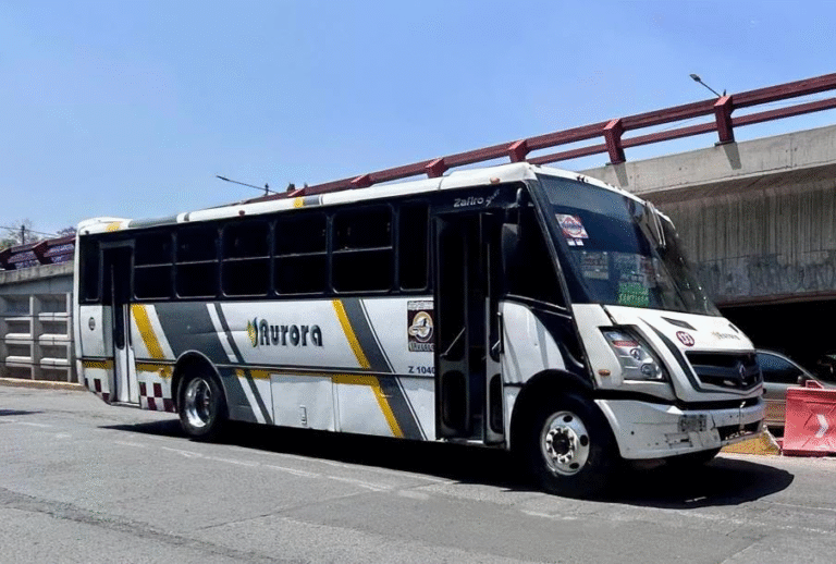 Delfina Gómez impulsa al transporte público con subsidios y beneficios fiscales en el Estado de México