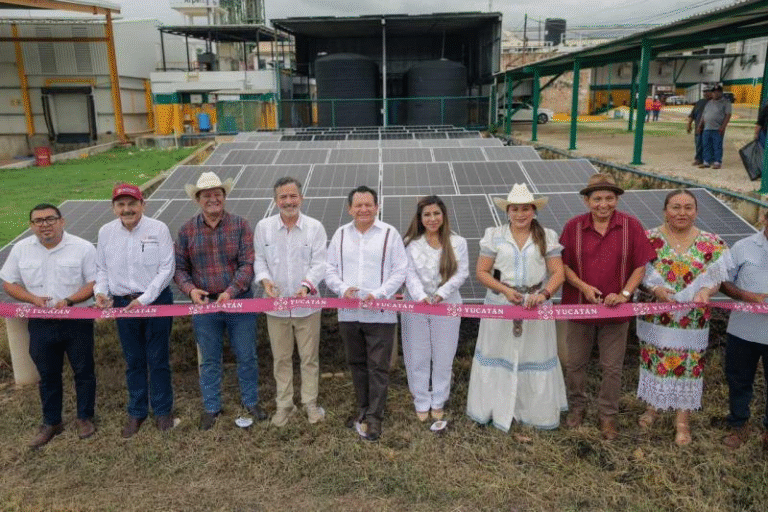 Joaquín Díaz Mena fortalece al campo yucateco con inversión, tecnología y apoyos a productores