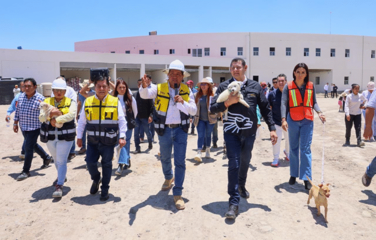 Puebla avanza en la creación de centro pionero para la protección y bienestar animal