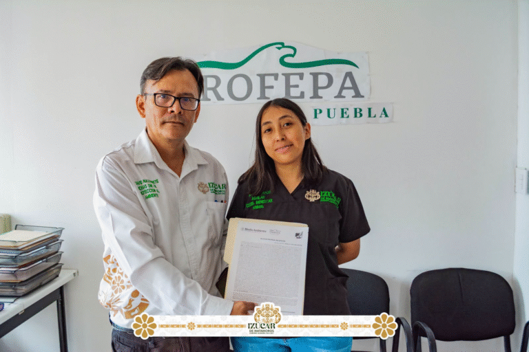 Gobierno de Izúcar de Matamoros entrega halcón cola blanca a PROFEPA para su protección y conservación