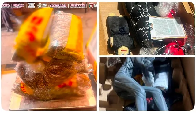 Aduana de Guadalajara asegura más de 2.5 kilos de semillas con características de cannabis en envío internacional