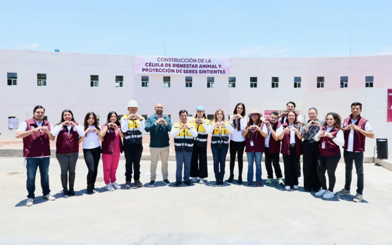 Puebla avanza en la construcción de la primera Célula de Bienestar Animal, con 77% de desarrollo
