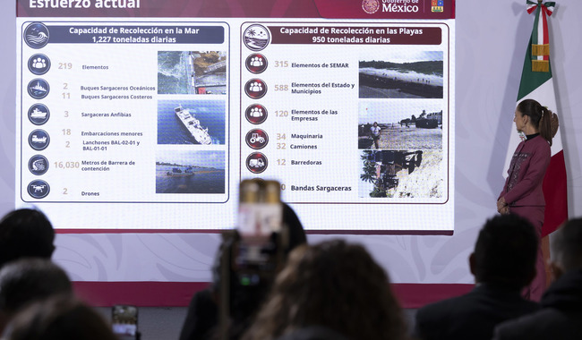 Sheinbaum destaca crecimiento económico y anuncia inversión de 2 mil mdp para atender el sargazo en Quintana Roo