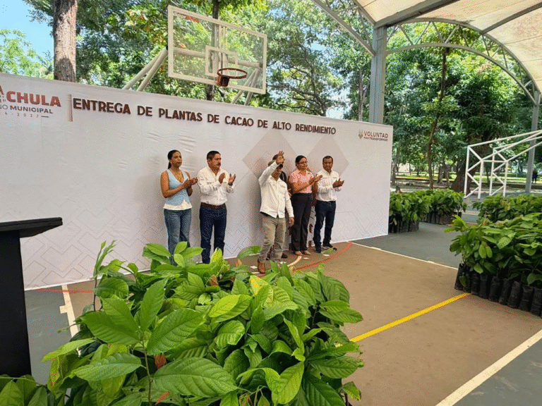 Tapachula reconoce al cacao como motor del desarrollo rural en su Día Mundial