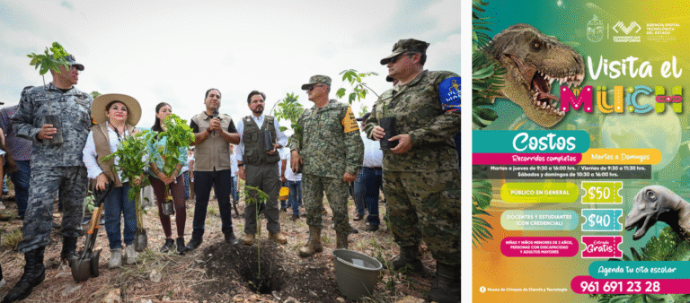 Chiapas se une a la Jornada Nacional de Reforestación con más de un millón de árboles