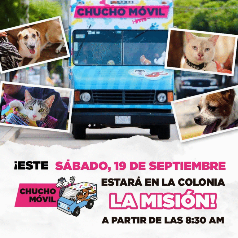 Ángel Torres acerca servicios veterinarios gratuitos a la colonia La Misión con el “Chucho Móvil”