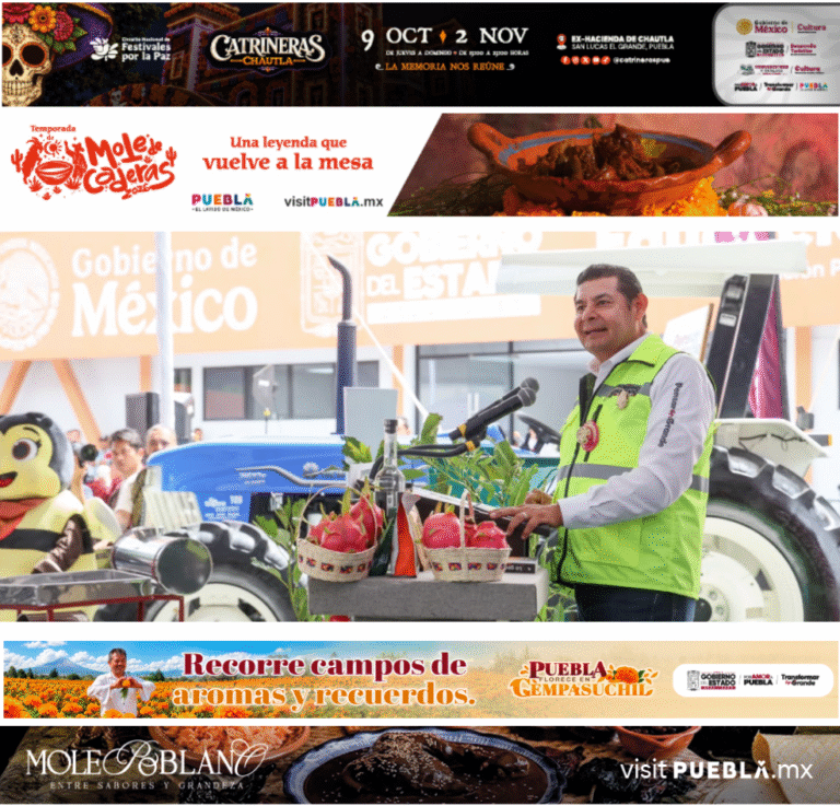 Alejandro Armenta impulsa la producción agrícola y la reforestación en comunidades de Puebla